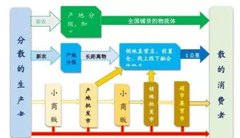 农村电商发展趋势报告 农货上行推动中国农村深层次变革